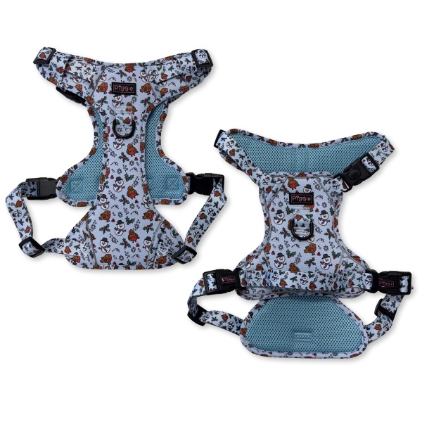 Mr Robin Explorer Harness Bundle